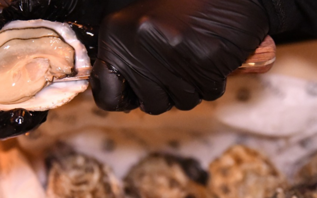 La saison des huîtres !