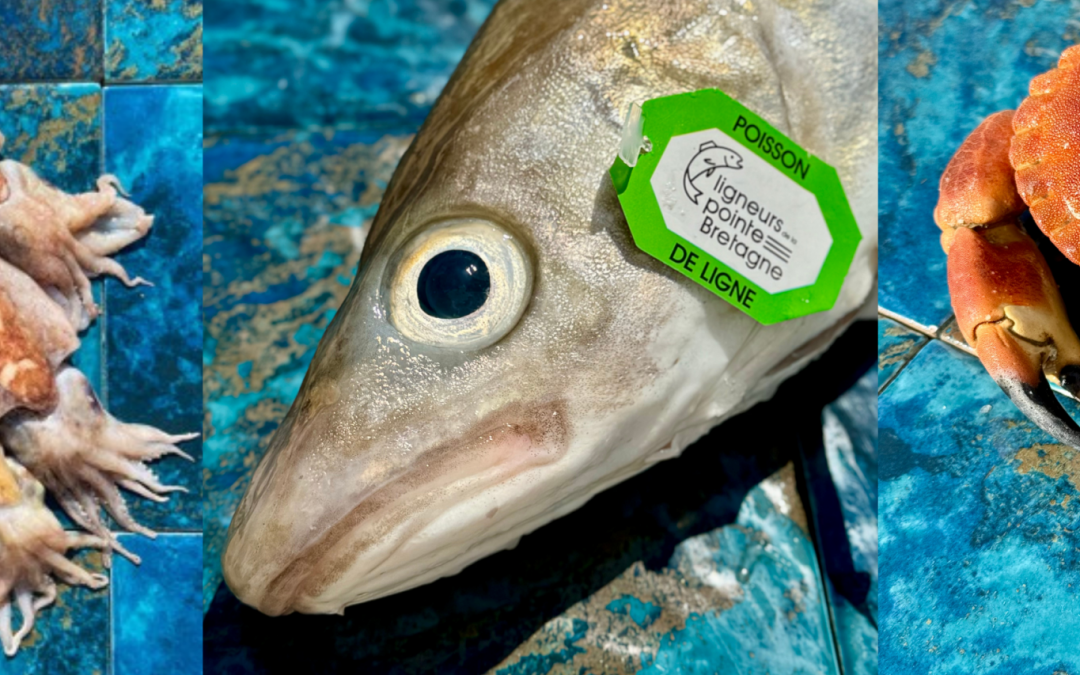 Quels produits de la mer peut-on consommer en automne ?