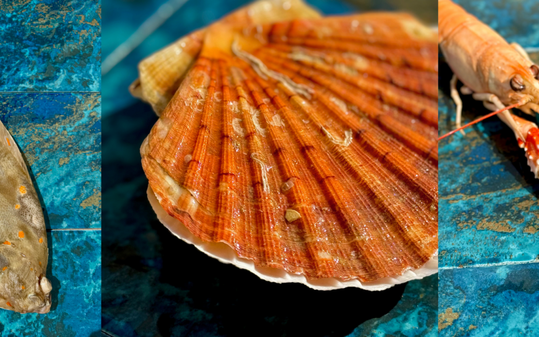 Quels produits de la mer peut-on consommer en hiver ?