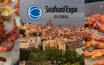 L’araignée de mer : la star du Seafood Expo Global