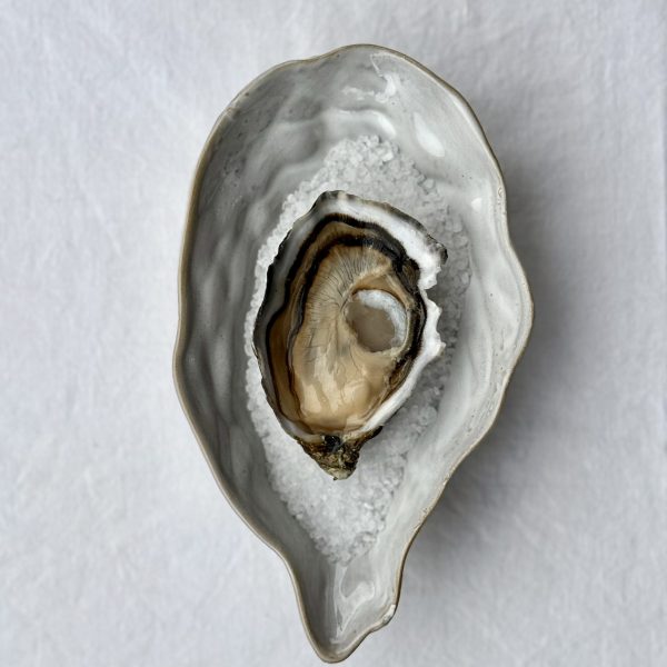 Ostra Régal n°3 - Irlande - Boutrais