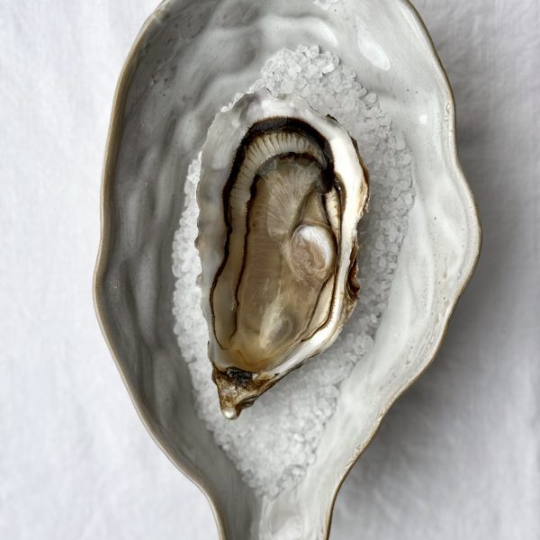 12 Huîtres sur plateau