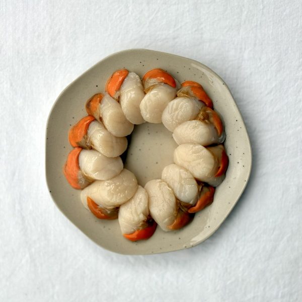 12 Noix de Saint Jacques