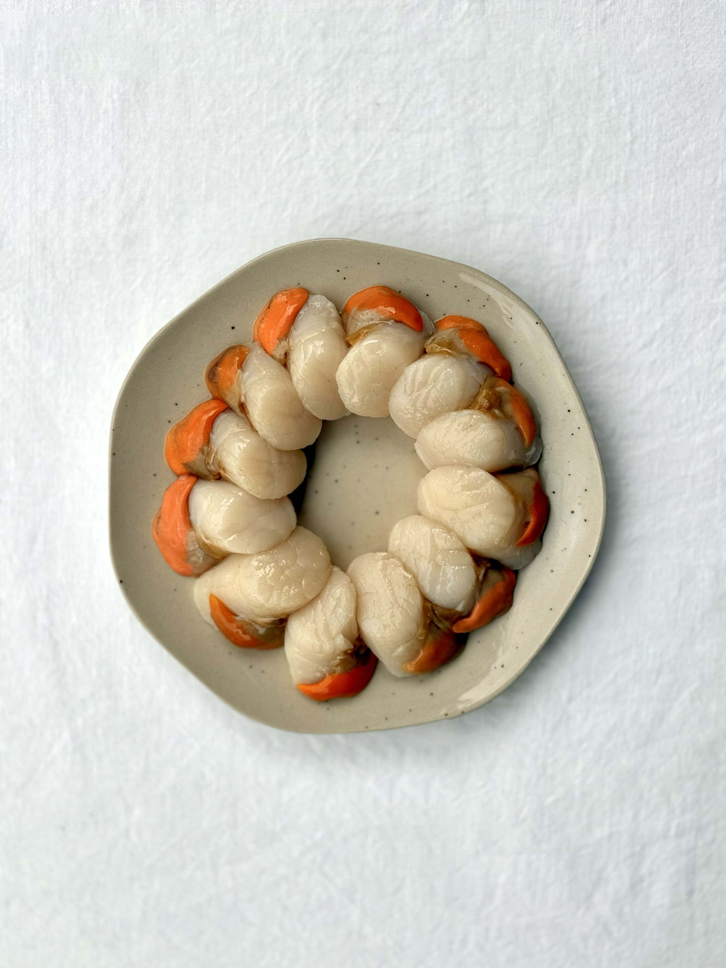 12 Noix de Saint Jacques