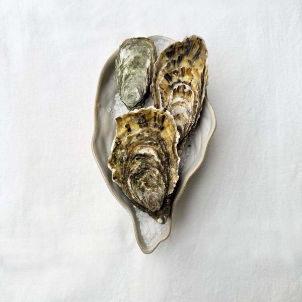 12 Huîtres Fermées