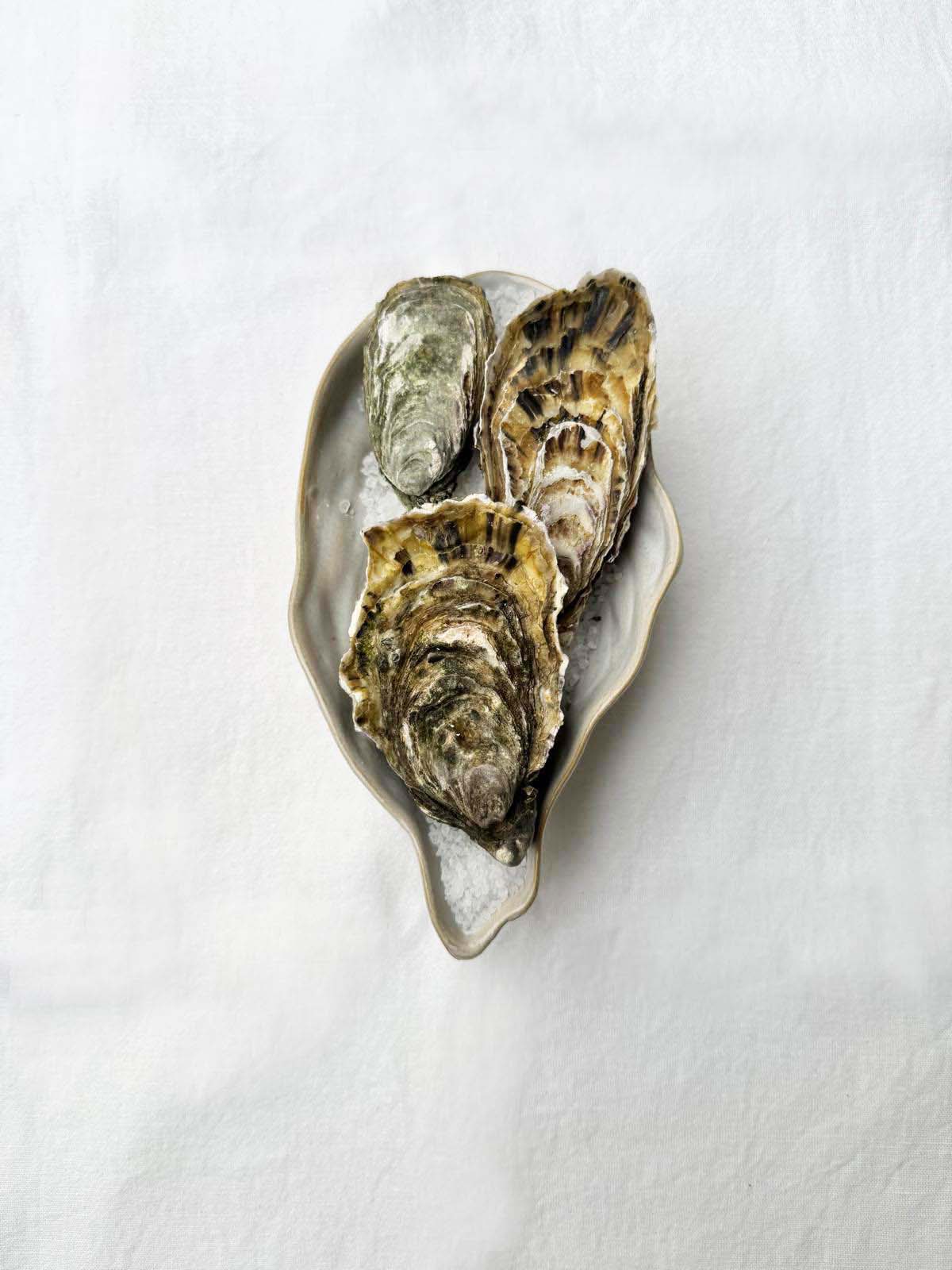 12 Huîtres Fermées