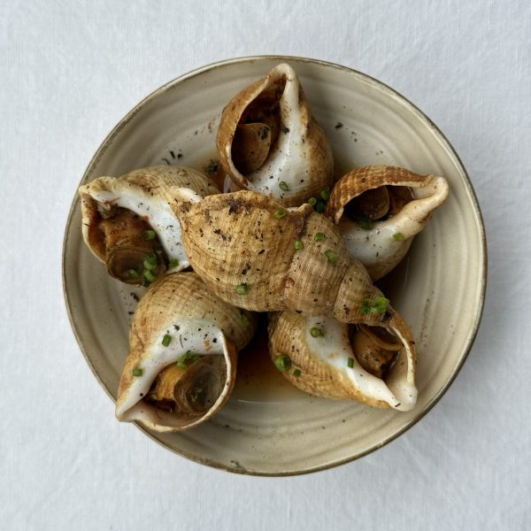 Bulots cuisson maison