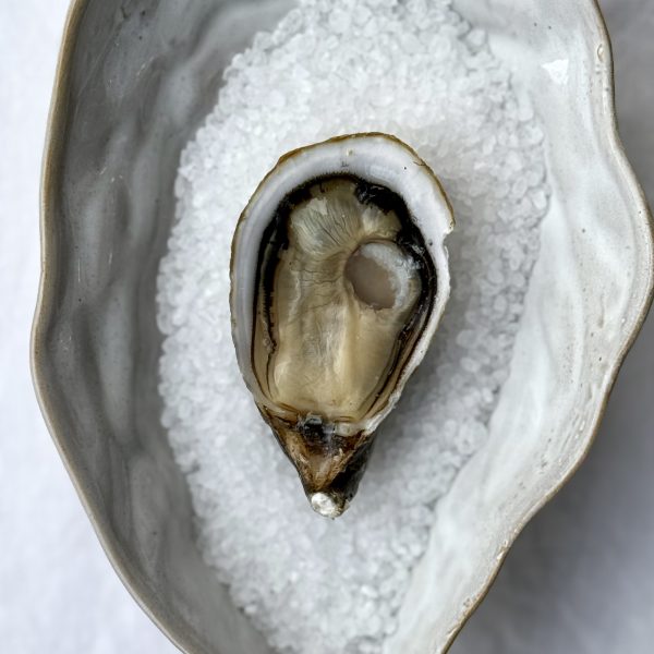 Amulette n°6 - huître cocktail - Boutrais