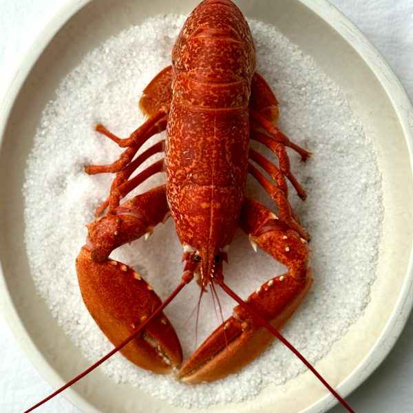 Homard Européen (6/800g) coupé en deux