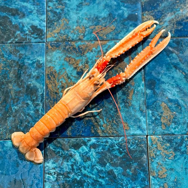 Langoustine