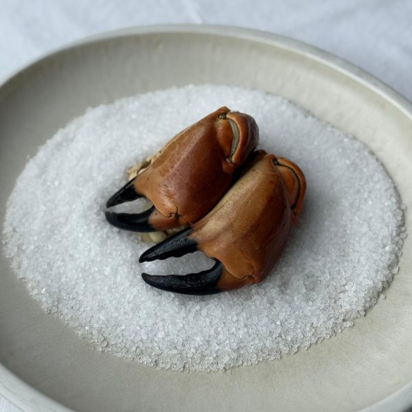 Pince de tourteau XL