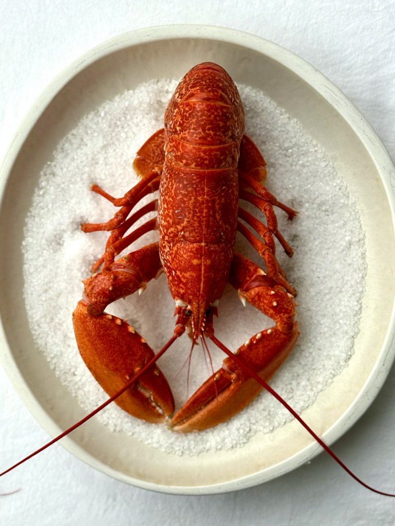 homard avignon