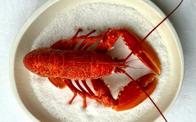| LE HOMARD, RECETTE SIGNATURE