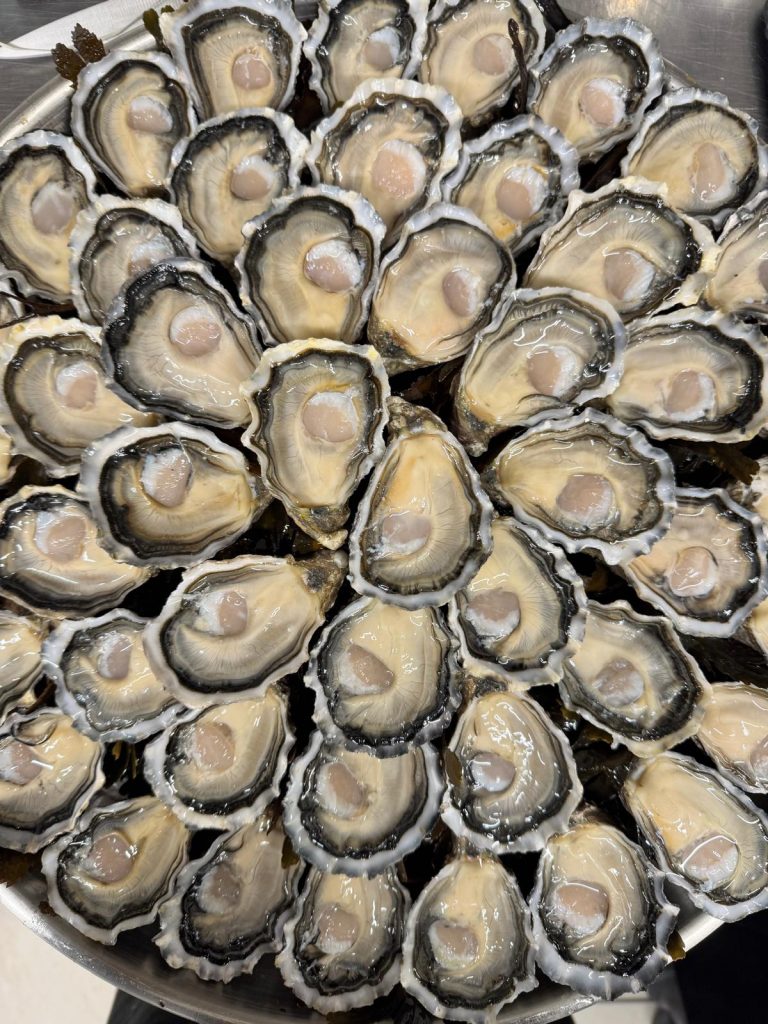 plateau fruit de mer huitre Avignon